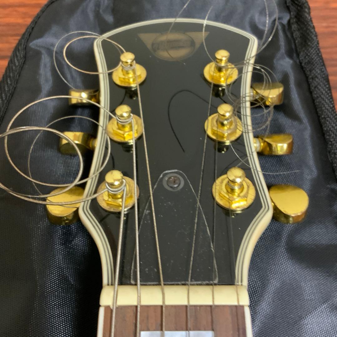 ピグノーズ［アンプ内蔵ギター］ PGG-259 BK ゴールドパーツ仕様