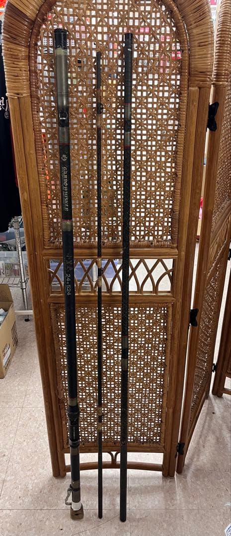 小笠原　24号524 カーボウィスカー