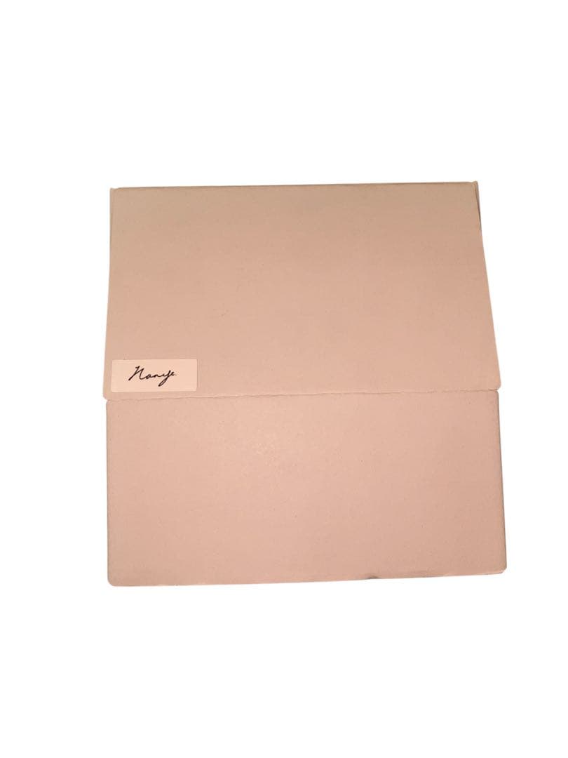 petla noa 初期個体