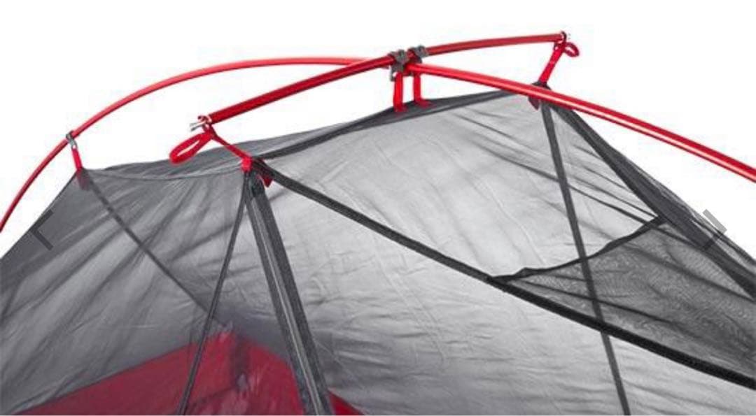 MSR フリーライト２