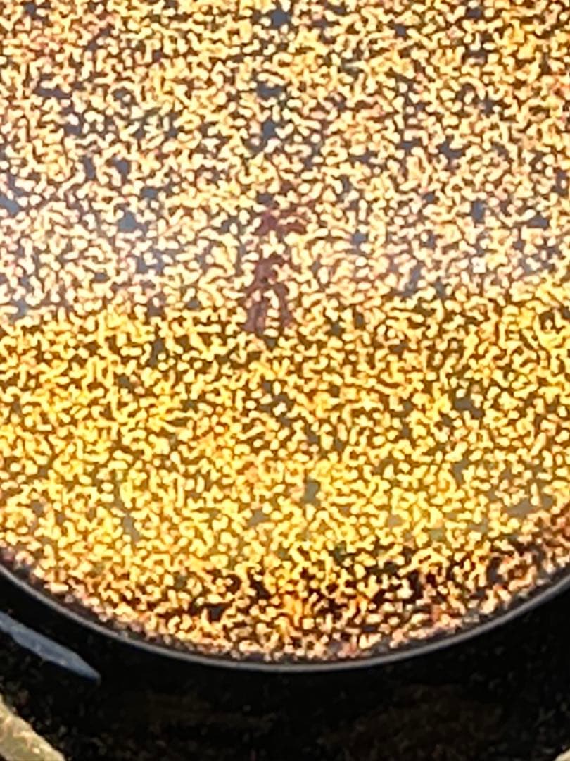 茶道具　棗　荒井正春　曙　内梨地