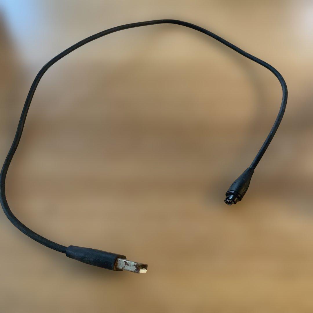 GARMIN SWING COACH 赤黒