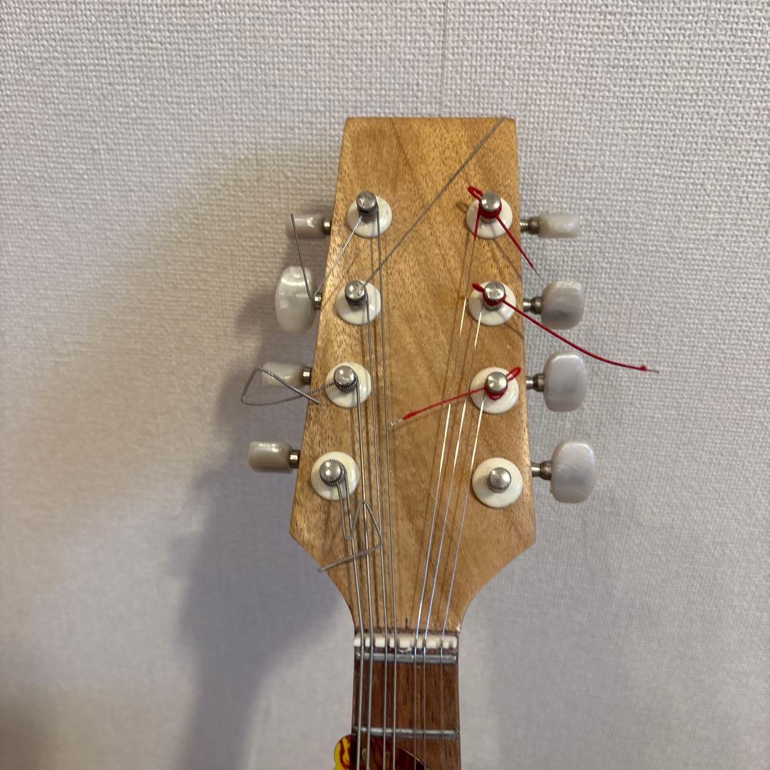 バジコ（フラットマンドリン）•ケース