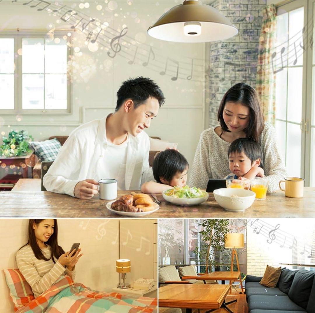 【2個セット】アイリスオーヤマ スピーカー付LED電球 LDF11L-G-4S