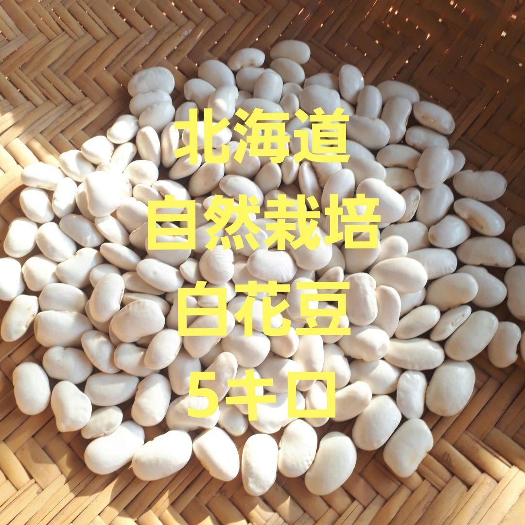 自然栽培　白花豆(chikyuさま専用)