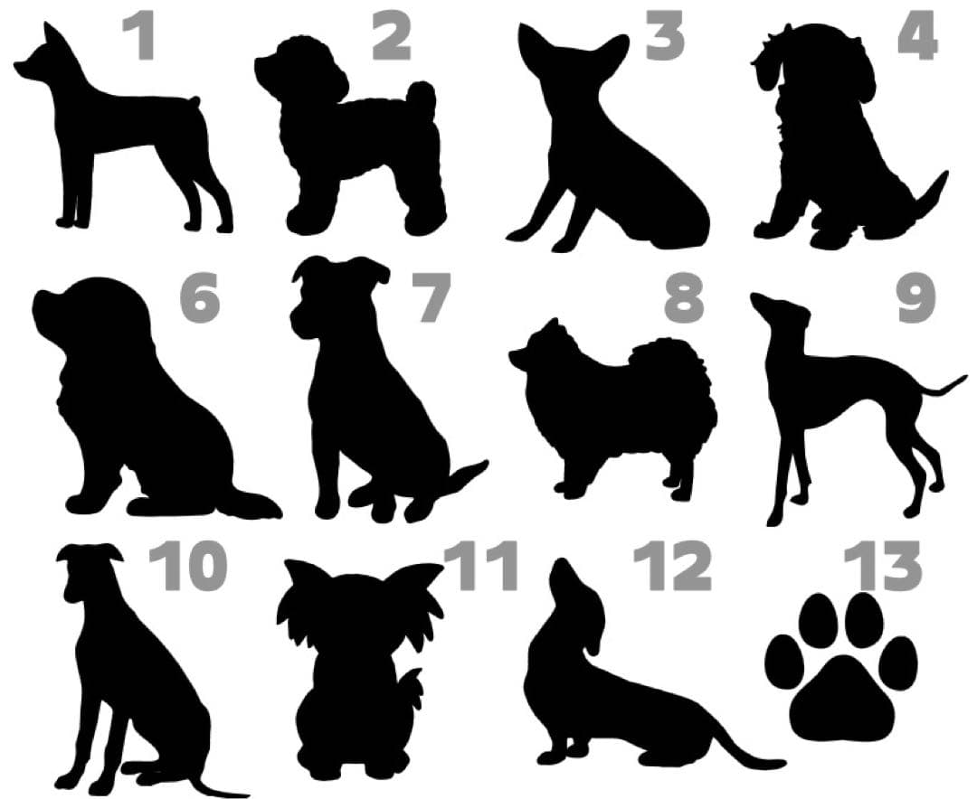 くまさま専用☺︎わんこふく　犬服