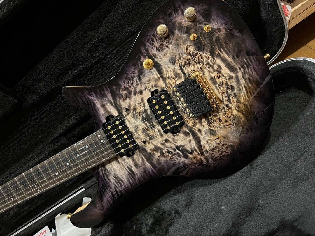 y*i様 Overload Custom Guitars Rea6 Trans