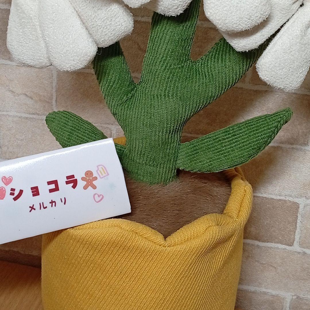  Daisy ジェリーキャット デイジー　お花植木鉢　雛菊　菊花