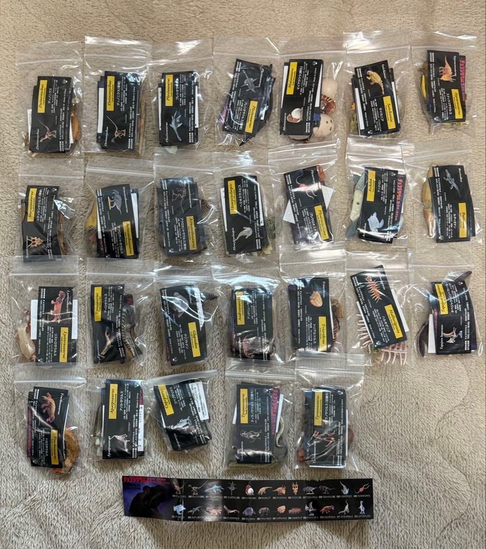 チョコラザウルス　セット