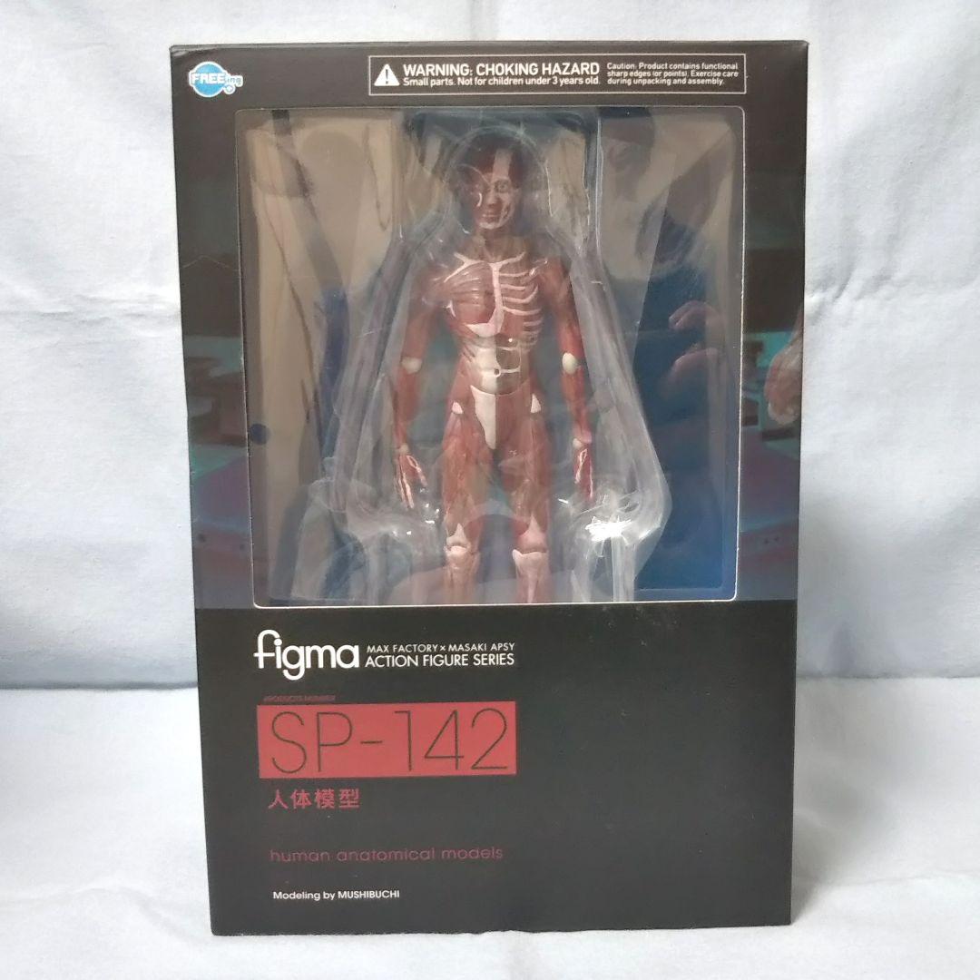 figma 人体模型