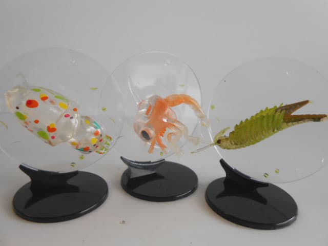 ♯Kri21Hz　カプセルQミクロコスモスプランクトン大全 全5種