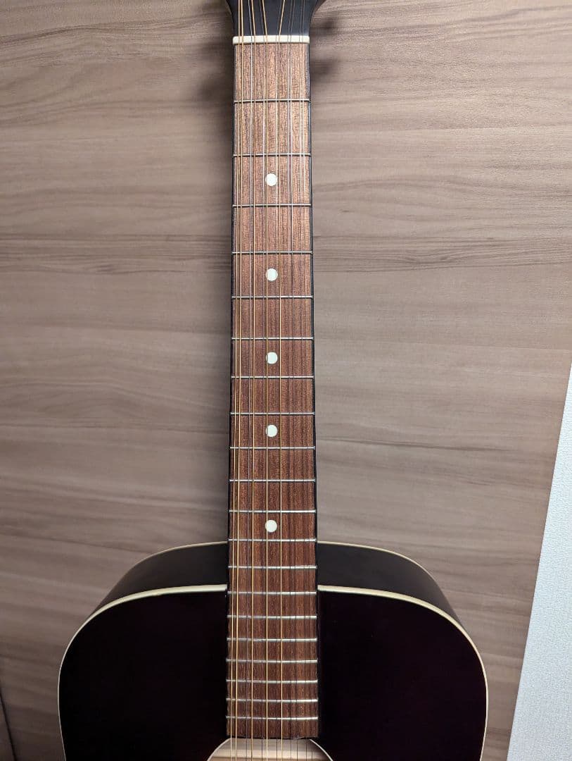 エレアコ Recording King RDS-9-12-FE5-TS 12弦