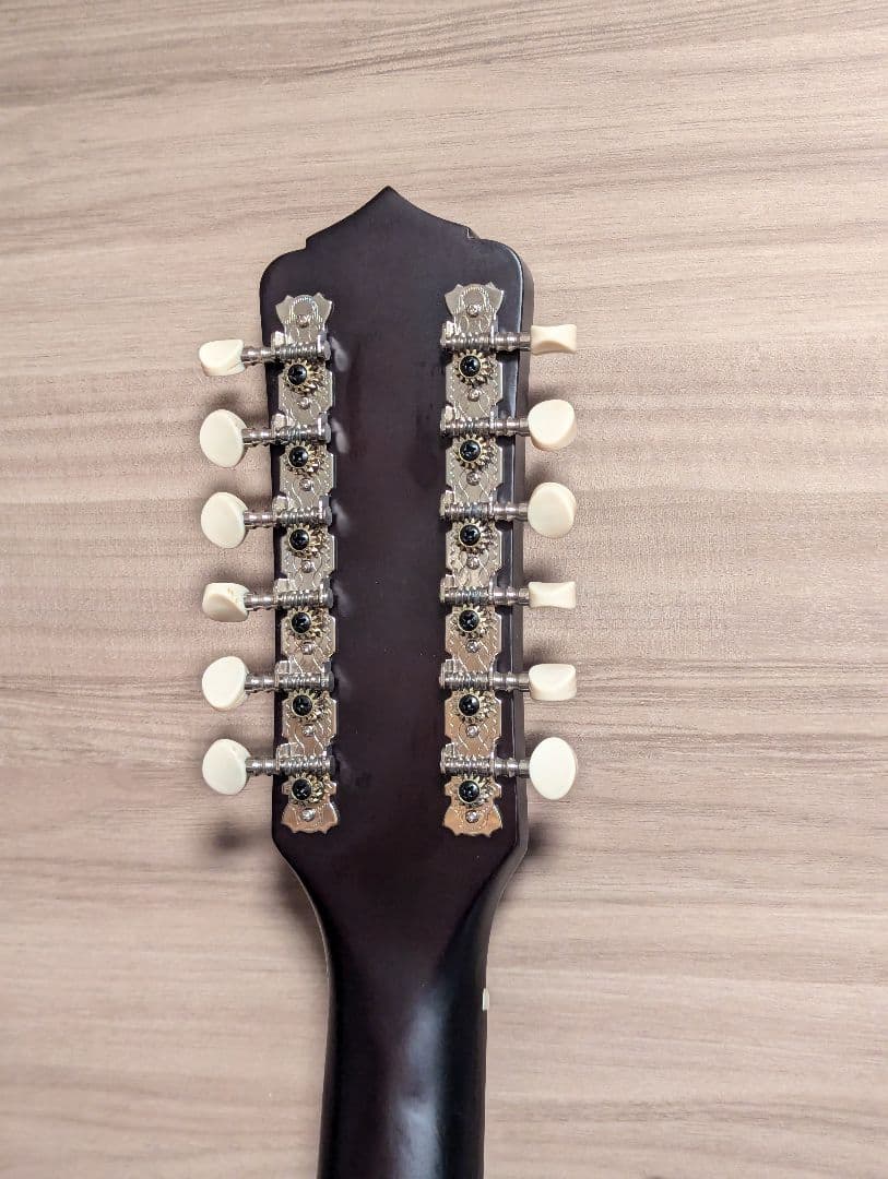 エレアコ Recording King RDS-9-12-FE5-TS 12弦