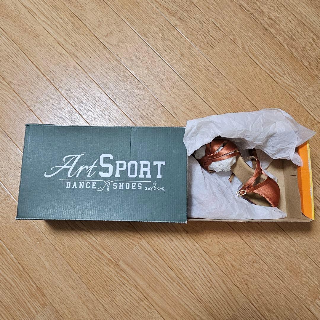 RAY ROSE レディース・ラテンシューズ 「884-X Aura」