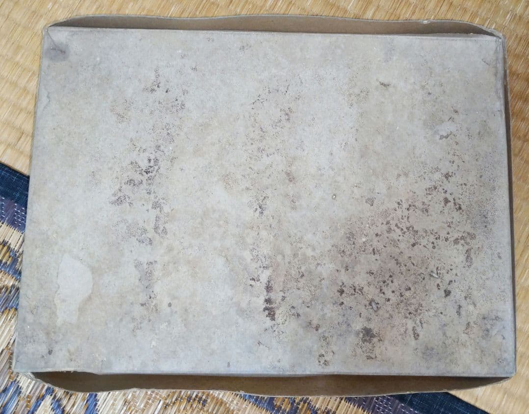 ナ*ノ様 宇宙船アルカディア号1/1500スケール