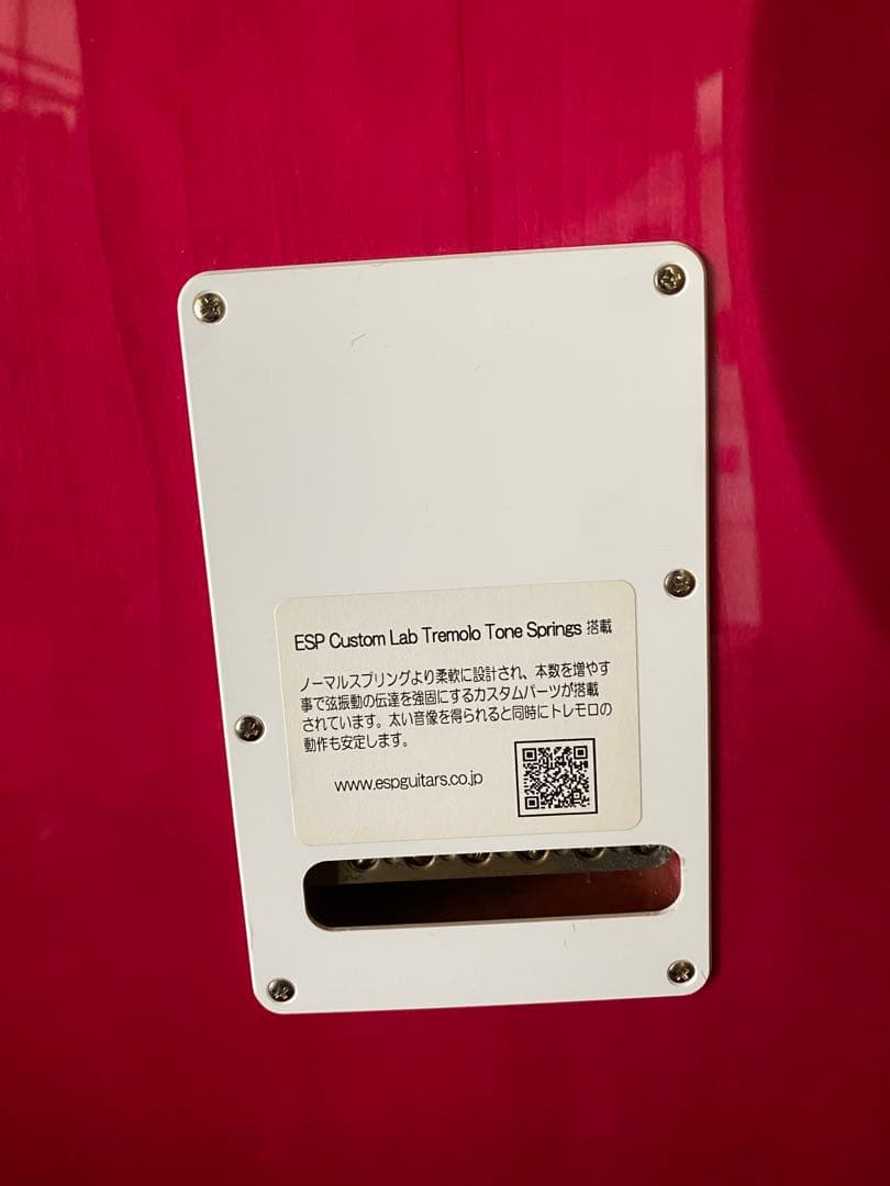 ギター ESP SNAPPER