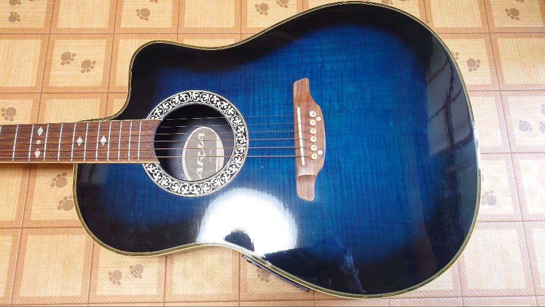 アコースティックギター ARIA amb-45