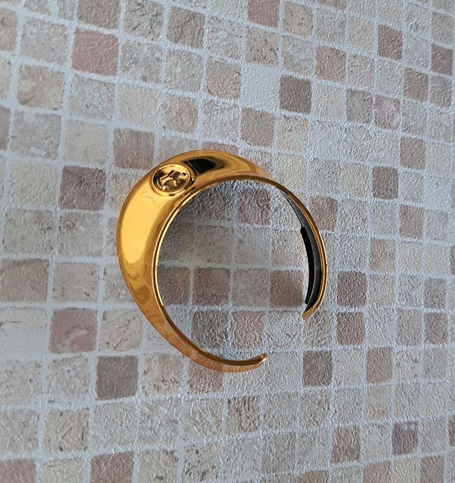 aiboプレミアムプラン２０１９～２０２０年　限定品　ゴールド首輪