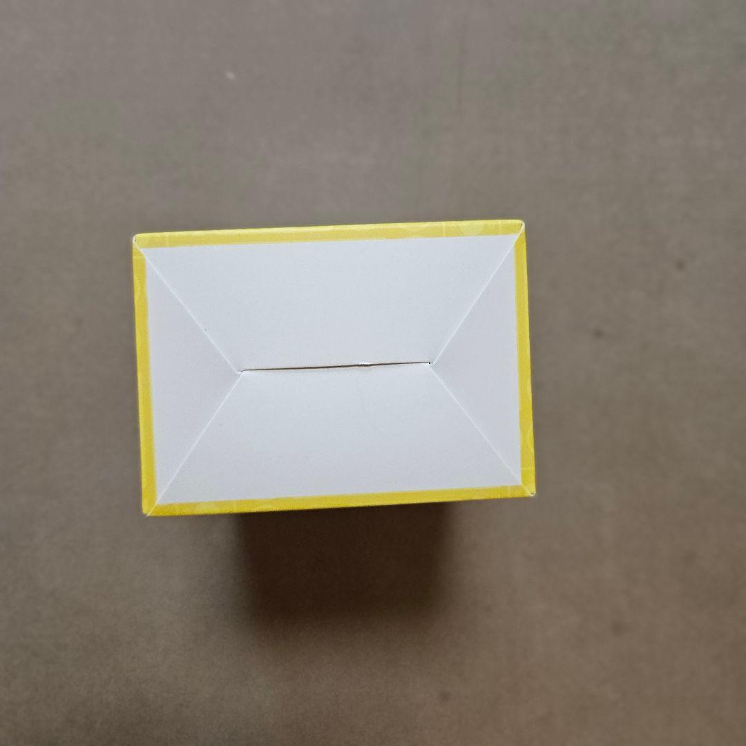 浜記念デッキ ピカチュウ　WCS2023横浜 ポケモンカード