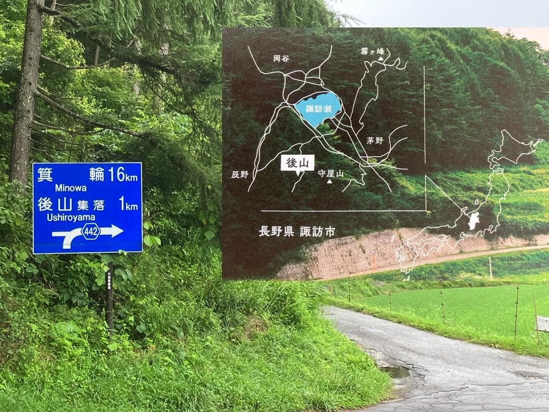 【令7蜜】百花蜜 1000g 2本 長野県産 国産蜂蜜 生はちみつ 西洋蜜蜂