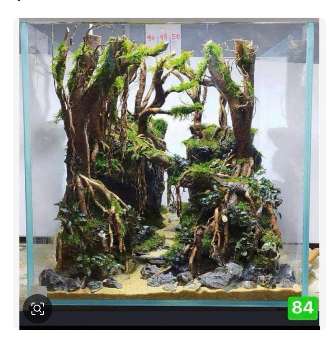 TTD 【⭐︎ たる様⭐︎】【美品・数量限定】