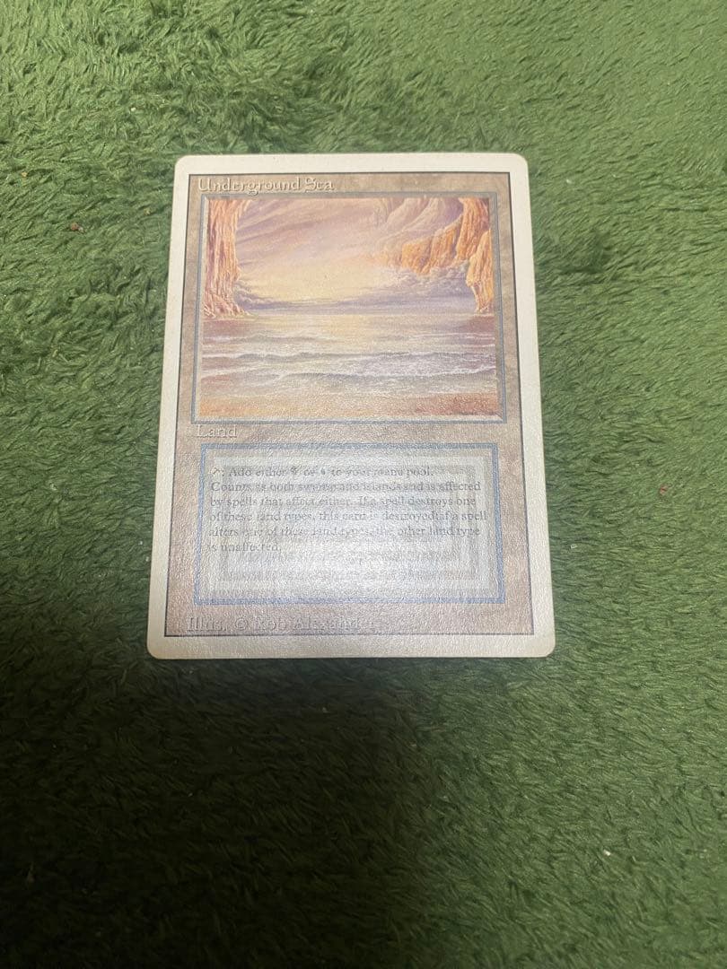 Underground sea 、Tropical、Bayou