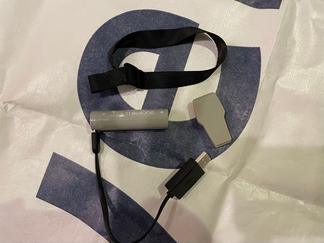 milestone Ms-i1 エンデュランスモデル