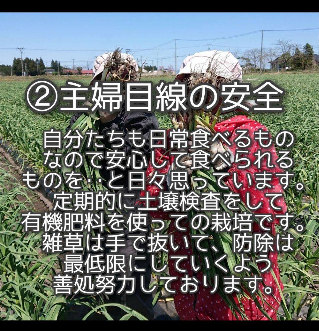 も*と様 青森県産ニンニク小玉10キロ以上!在庫処分セール青森県産にんにく訳あり
