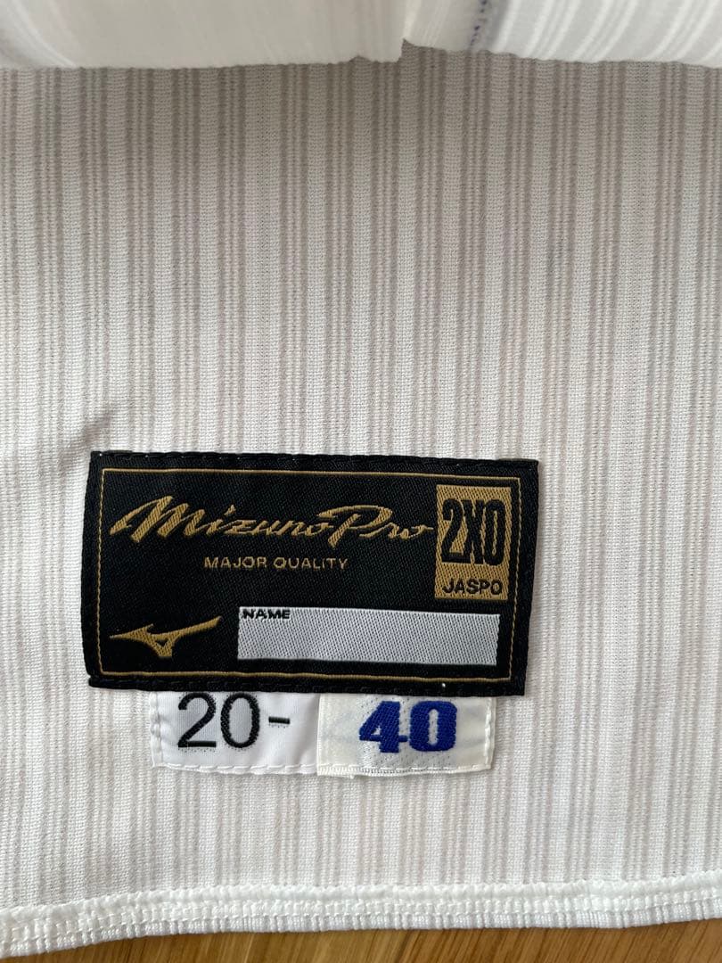 南牟礼豊蔵　中日ドラゴンズ