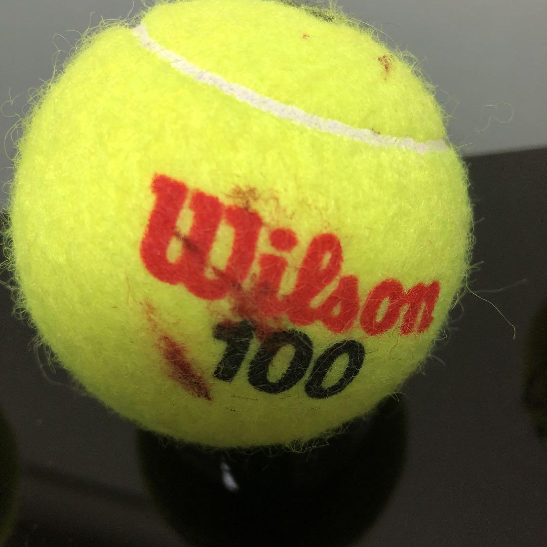 貴重】 クルム 伊達公子 2014 サインボール セット