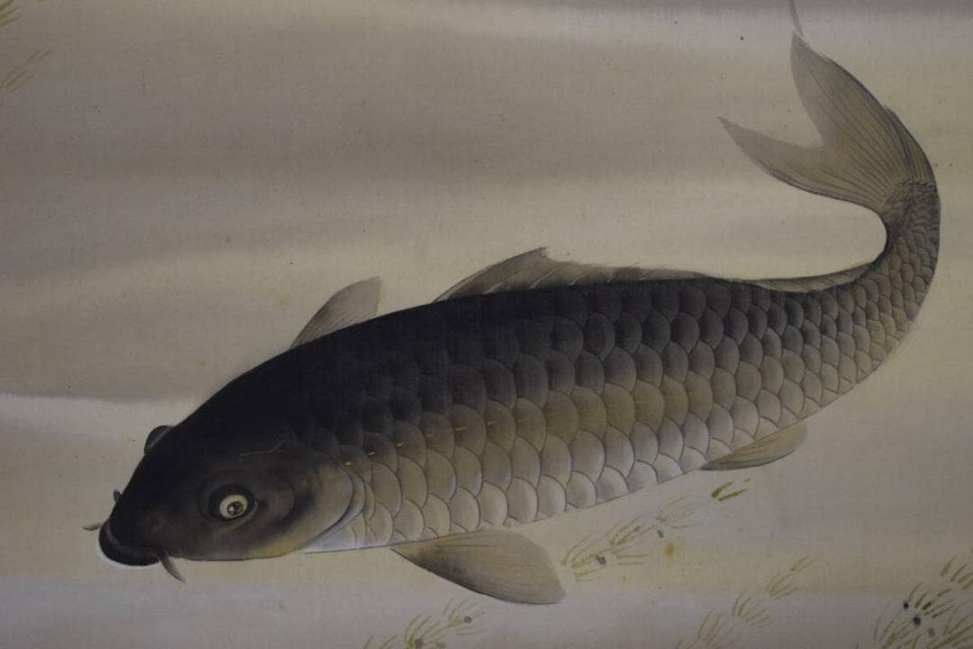 真作/藤原清輝/鯉図/布袋屋掛軸HE-674