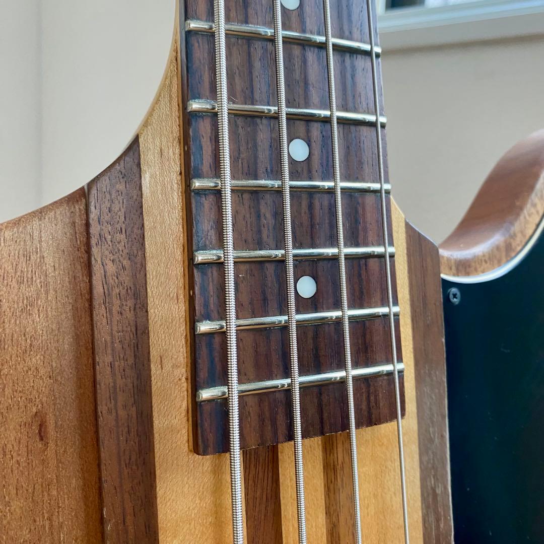 Epiphone T-Bird PRO Thunder Bird 4弦