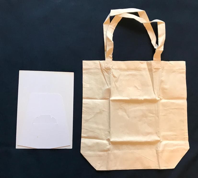 ☆ZARD 坂井泉水 「直筆ポップ・バッグ」