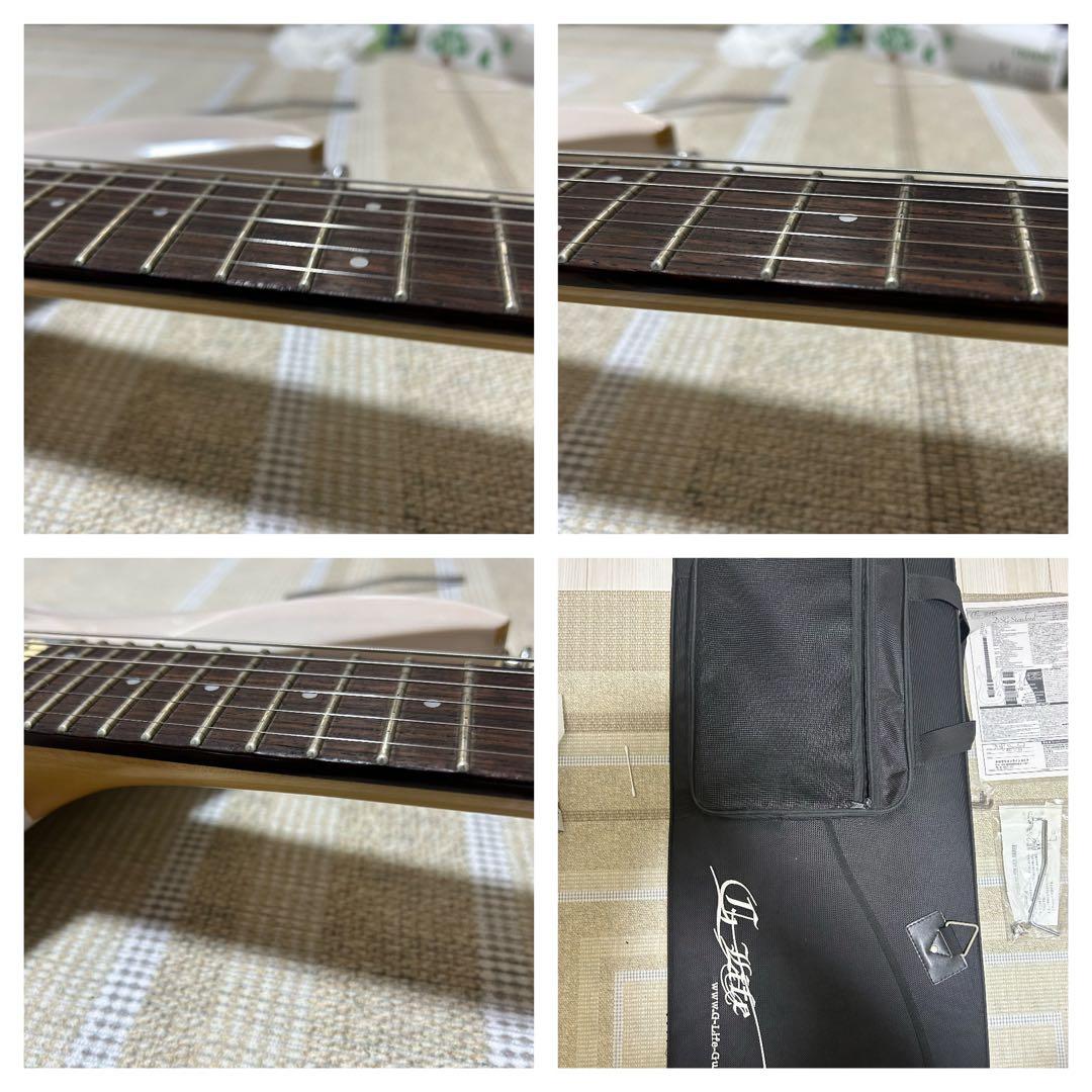 ギター DSG Standard Ash /  White