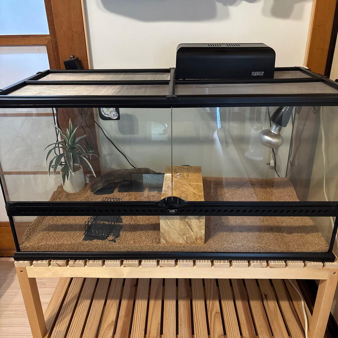 GEX エキゾテラ　グラステラリウム 9045 引渡しのみ