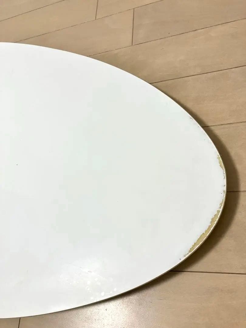 ZAP ザップ スキムボード