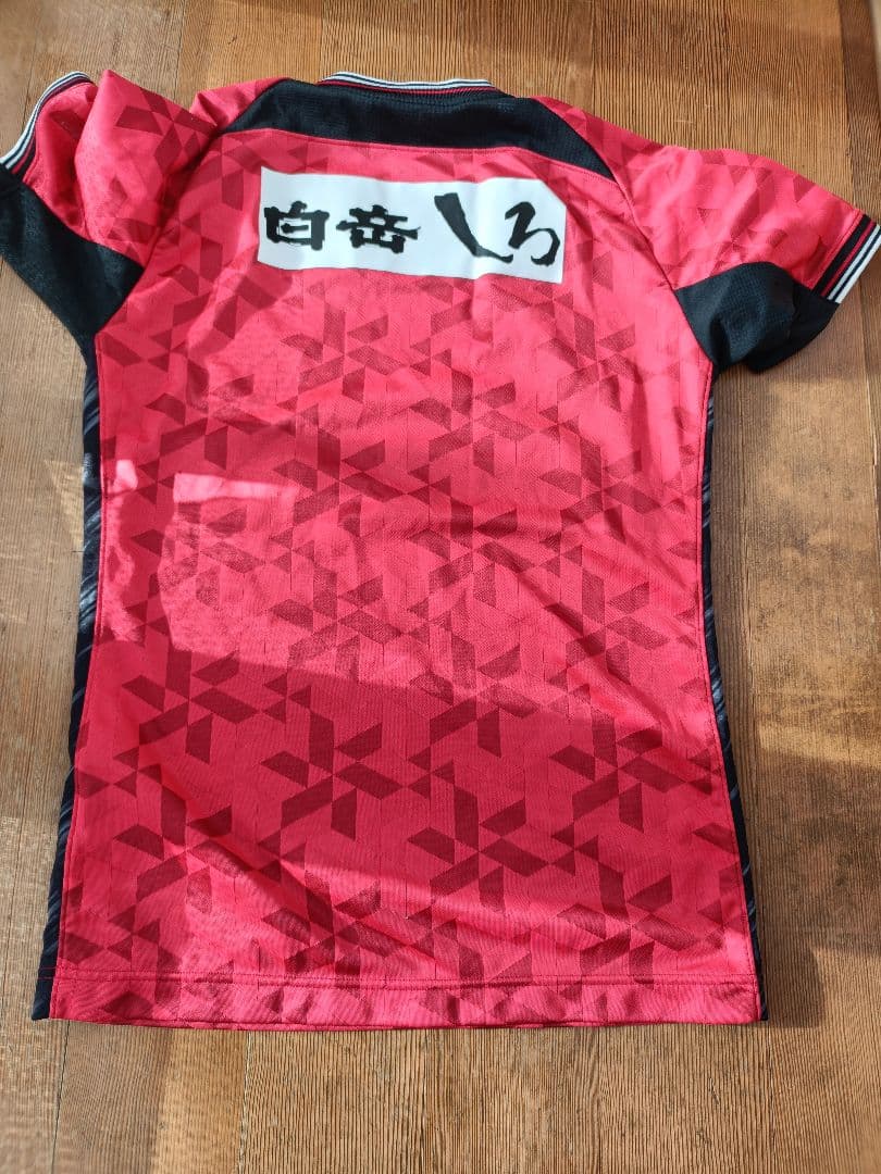 ＼値下げしました／ ロアッソ熊本　2025　ユニフォーム【サイズМ】