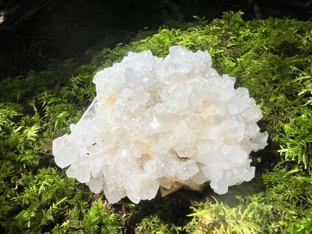 龍脈の精髄 クラスター 魂を浄化しご縁を結ぶ 売上一部保護猫活動に使用