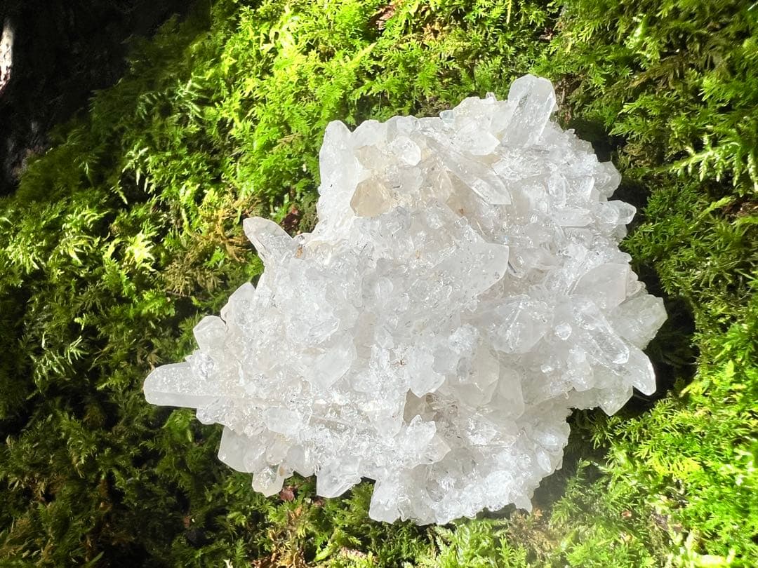 龍脈の精髄 クラスター 魂を浄化しご縁を結ぶ 売上一部保護猫活動に使用