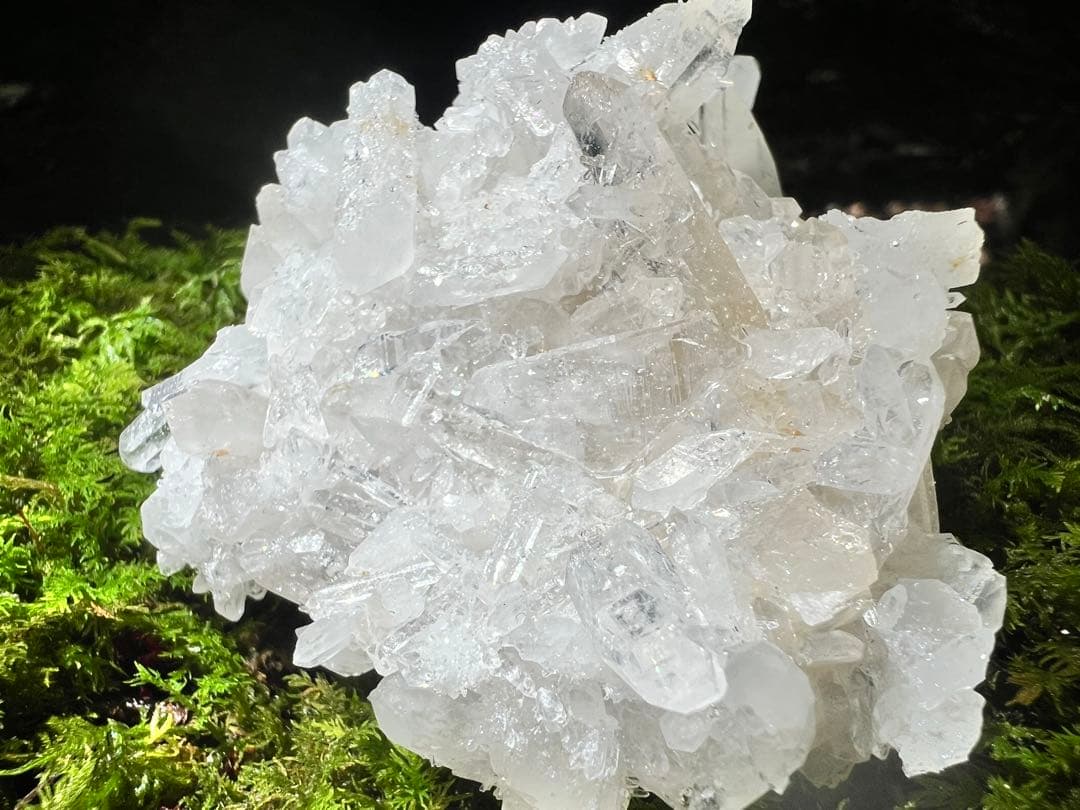 龍脈の精髄 クラスター 魂を浄化しご縁を結ぶ 売上一部保護猫活動に使用