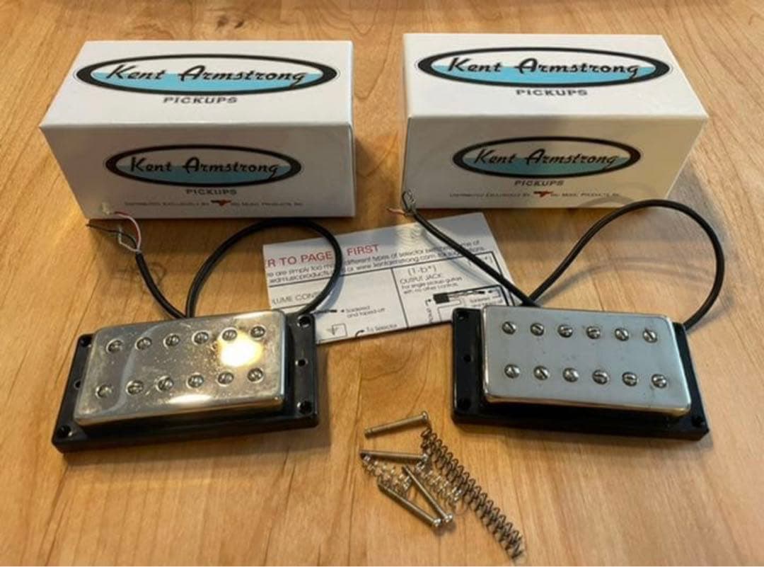 フライングV セットネック キルスイッチ ロックペグ ストラップ付き