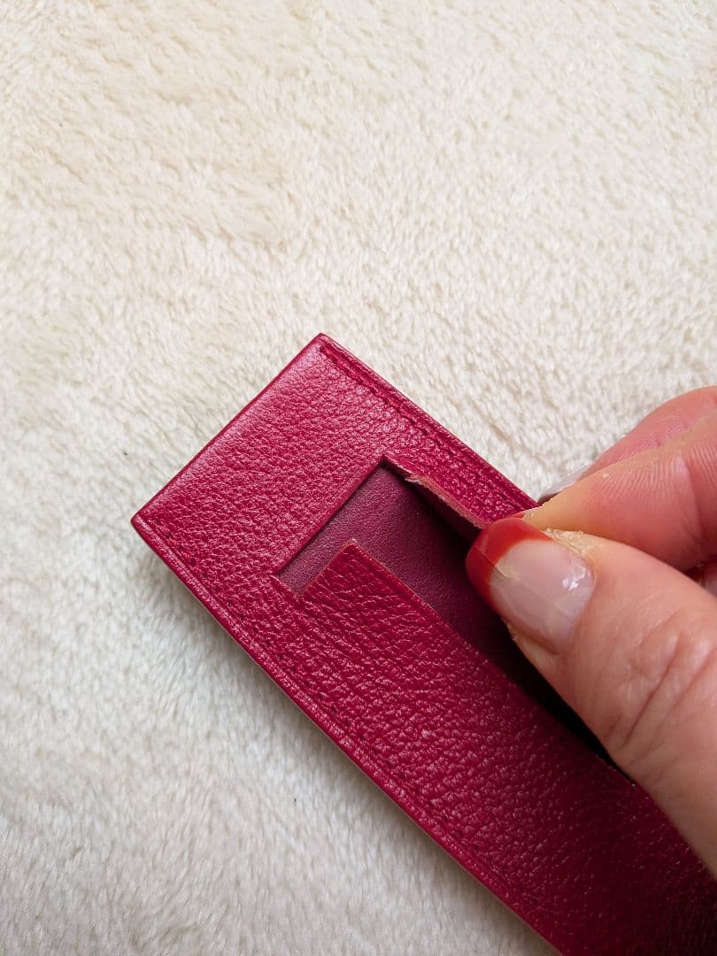 ルイ・ヴィトン 　レザーペンケース 　タイガシリーズレッド　匿名配送　即日発送