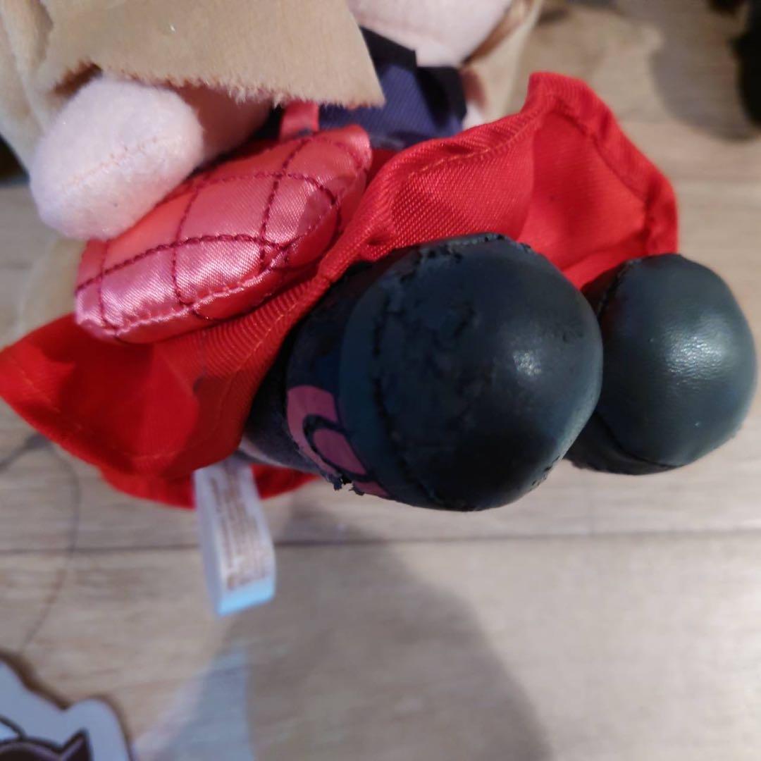 ポケットモンスター　レイナ　セレナ　ネズ　ポケモントレーナー　ぬいぐるみ