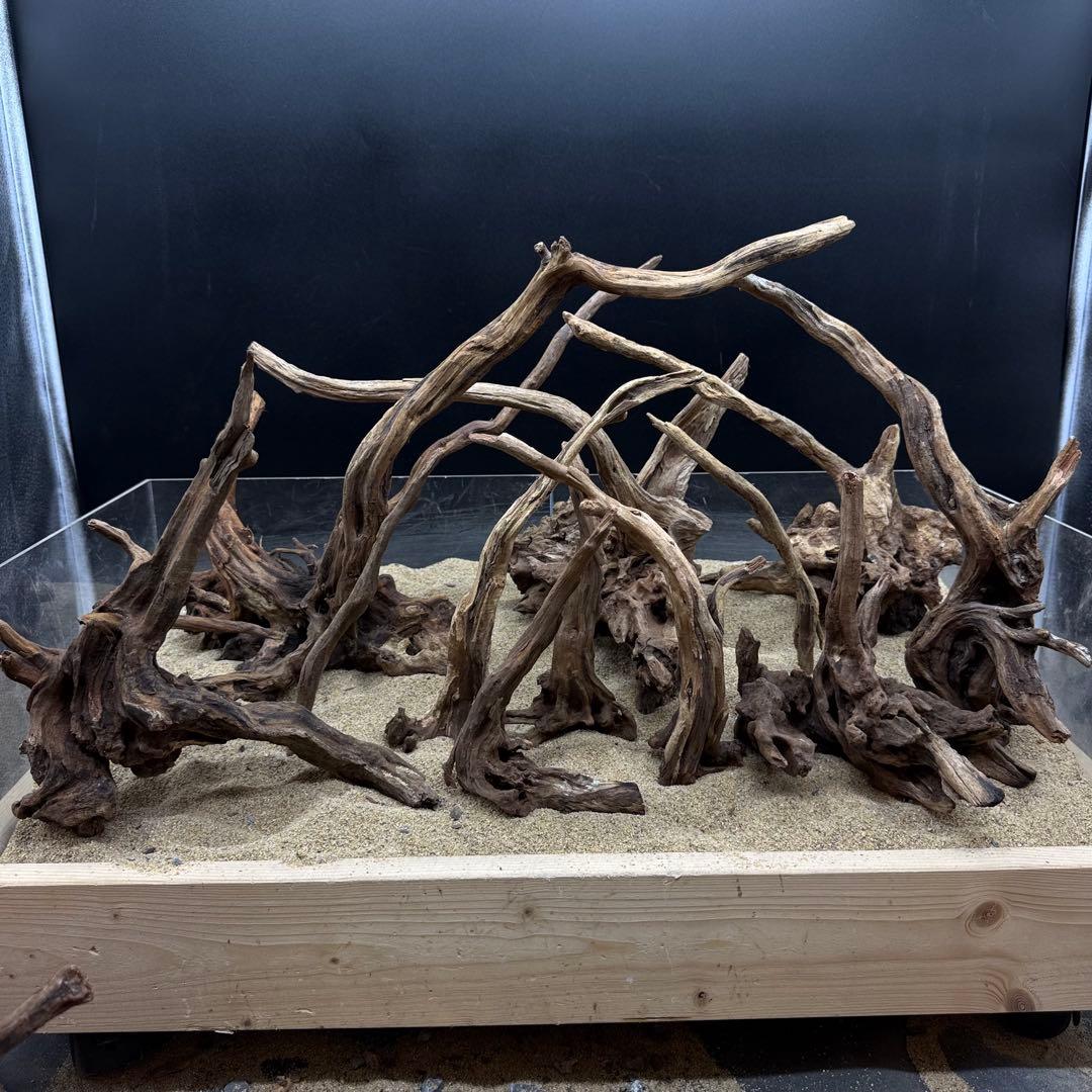 MSRW-7173 天然流木12本セット　スリムウッド　アクアリウム