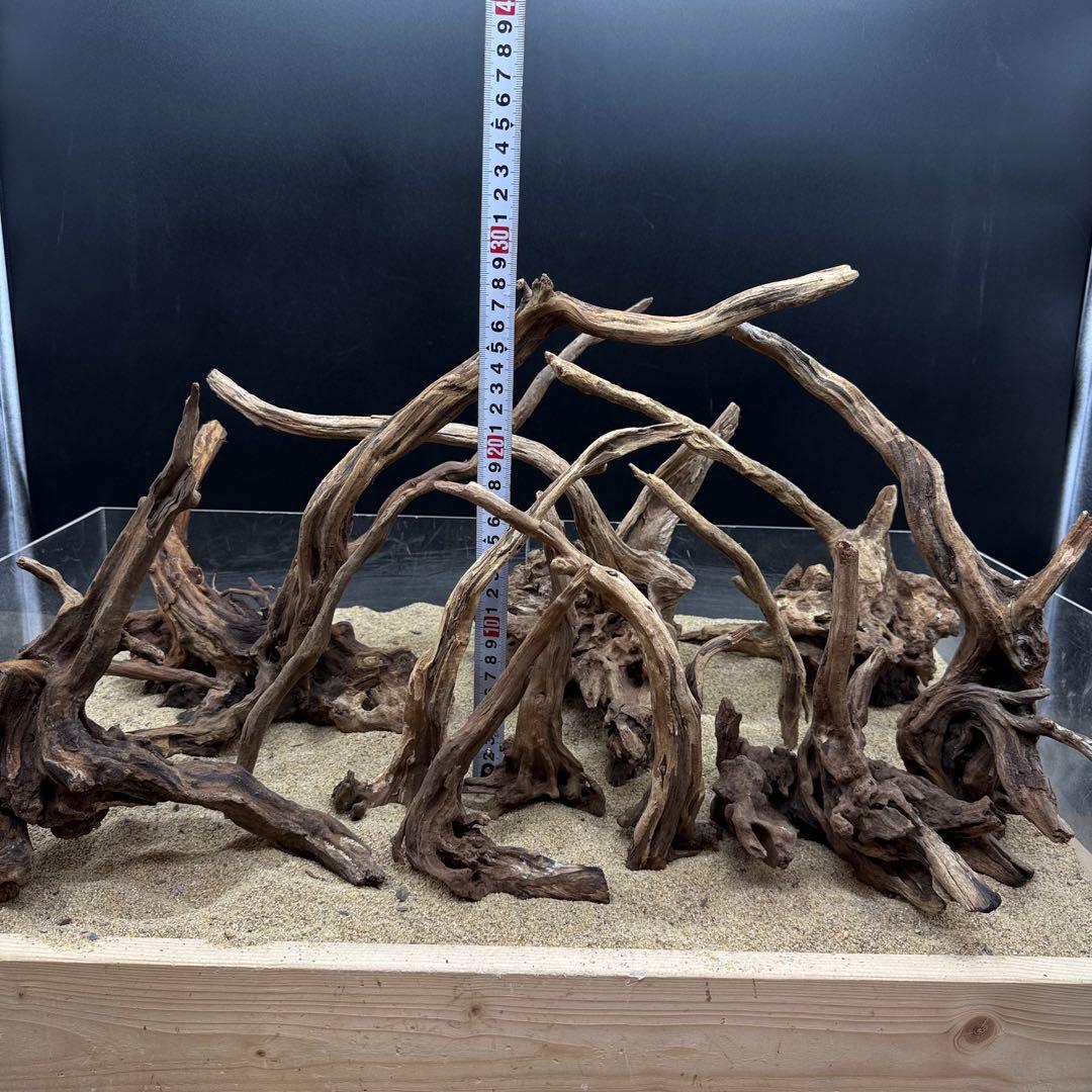 MSRW-7173 天然流木12本セット　スリムウッド　アクアリウム