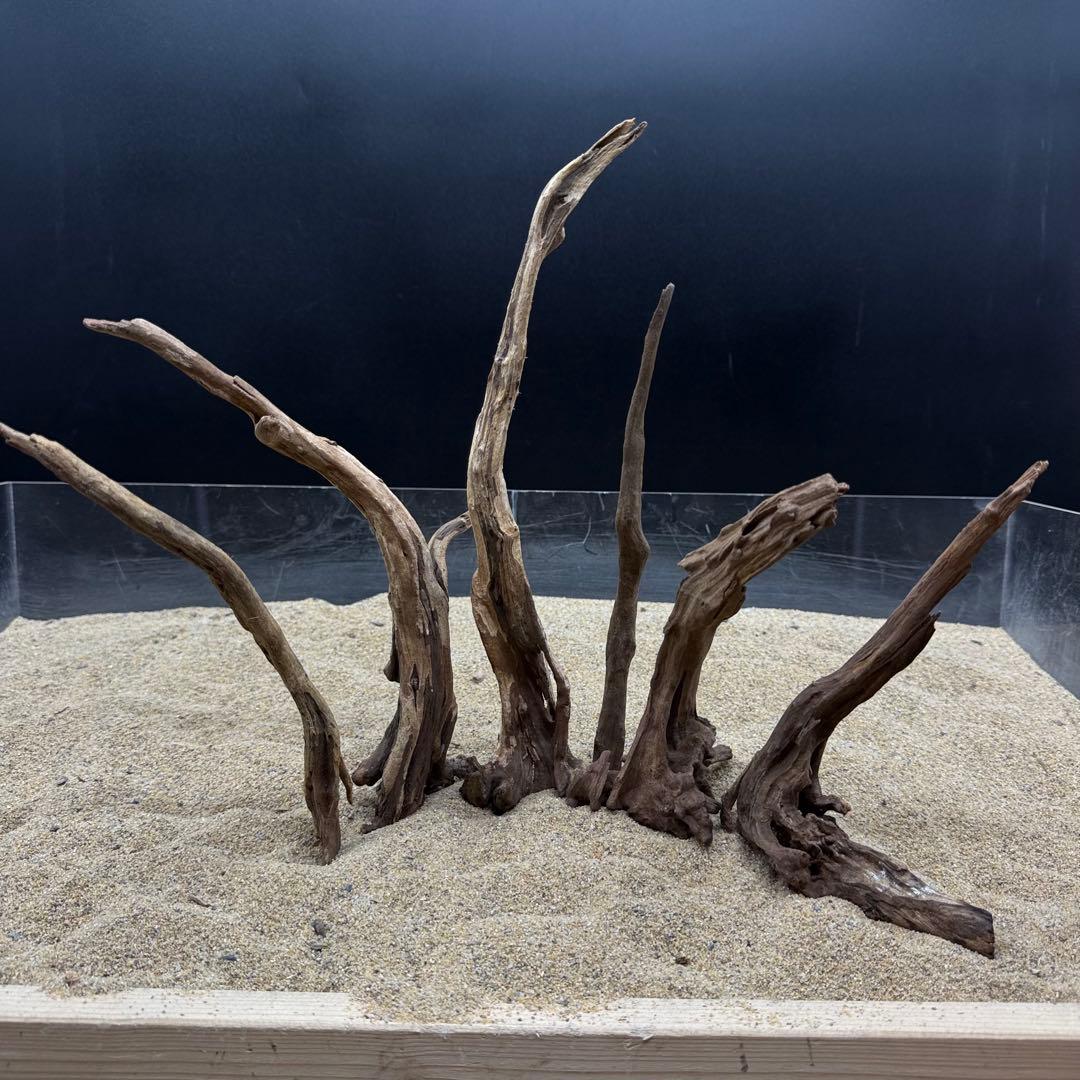 MSRW-7173 天然流木12本セット　スリムウッド　アクアリウム