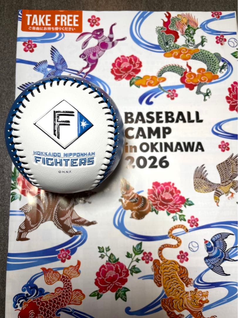 日本ハムファイターズ 郡司裕也 直筆サインボール 2026沖縄キャンプ
