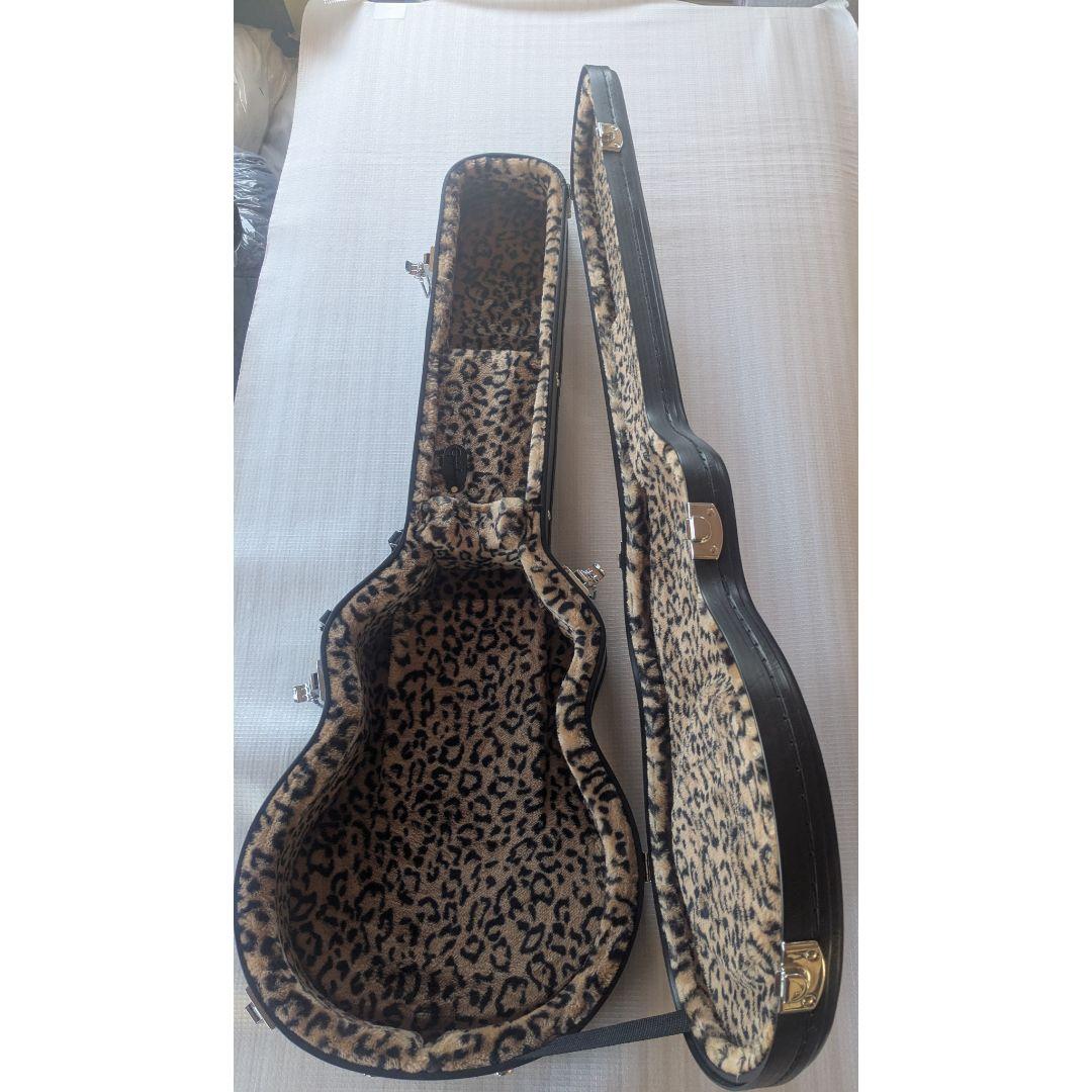 Epiphone ギターケースGREENDAYモデル　レスポールジュニア用