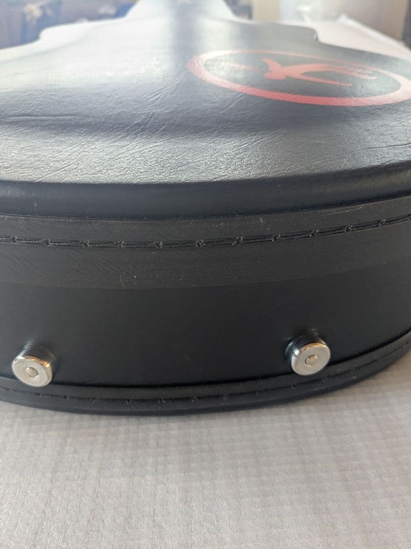 Epiphone ギターケースGREENDAYモデル　レスポールジュニア用