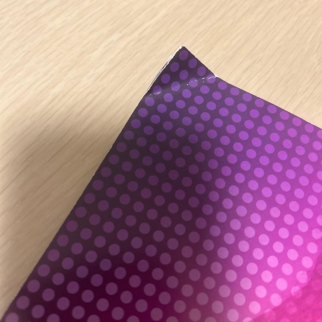 Madonna 日本公演 ツアー Tシャツ・パンフレット・キーホルダーセット